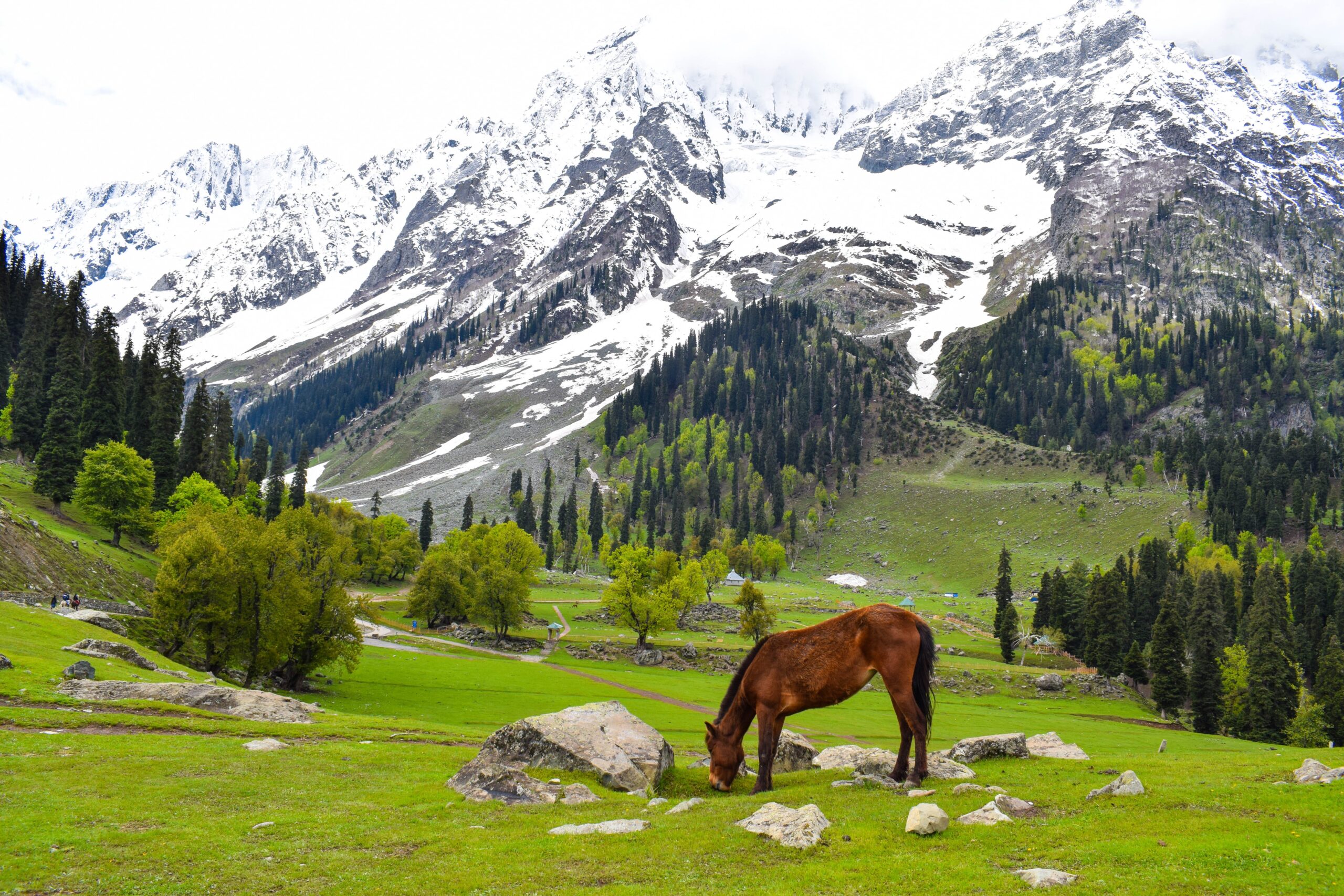 Charismatic Kashmir