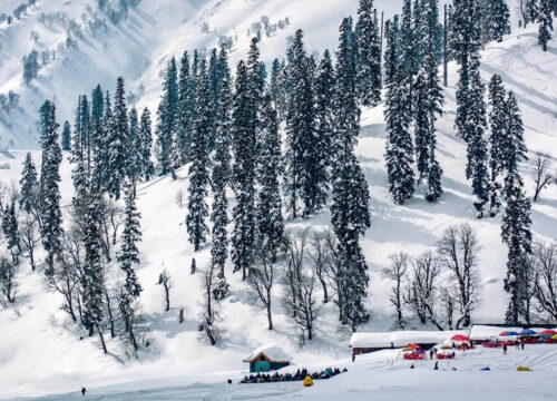 Amazing Kashmir with Katra