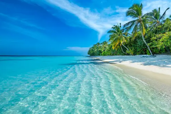 Blissful Maldives