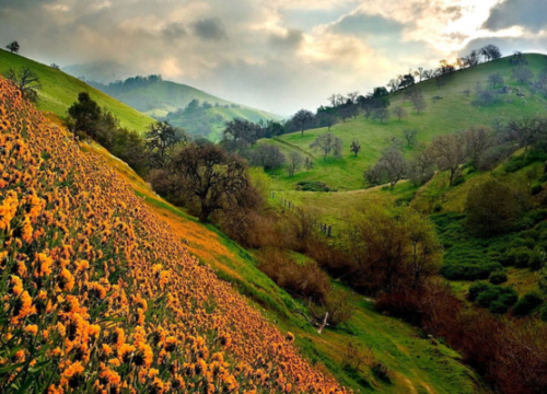 Mystical Uttarakhand