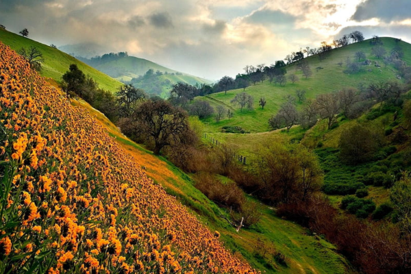 Mystical Uttarakhand