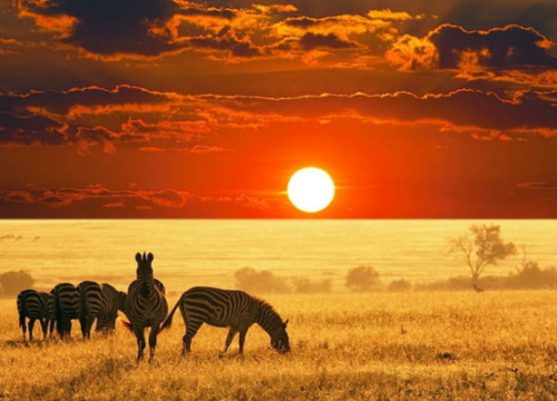 Discover Tanzania