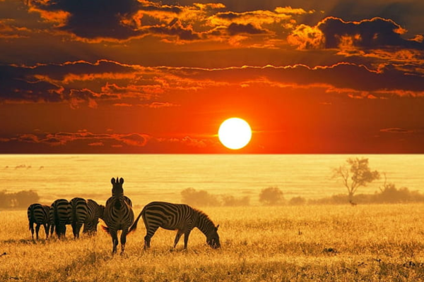 Discover Tanzania