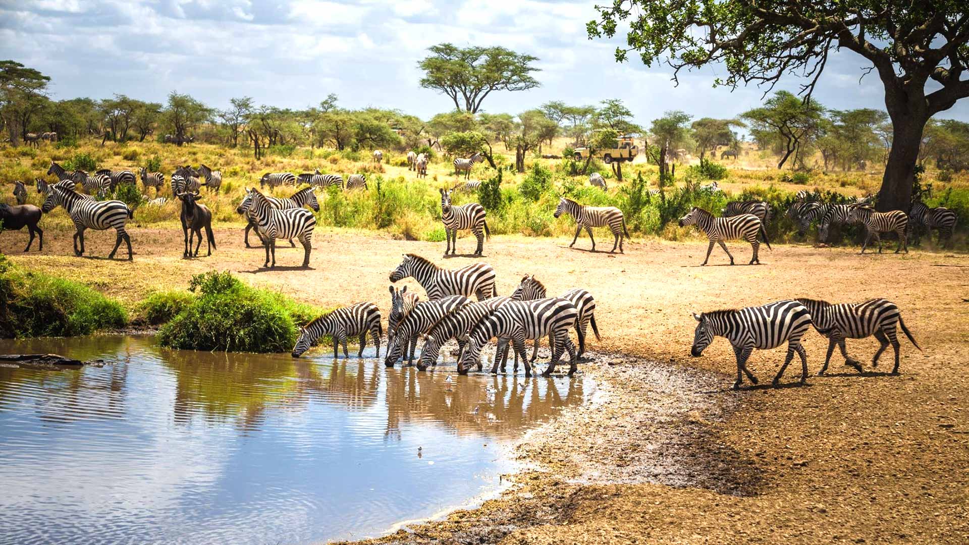 Discover Tanzania