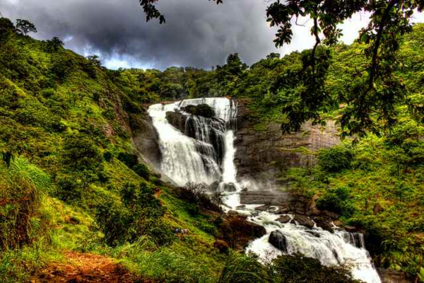 Serene Coorg and Wayanad