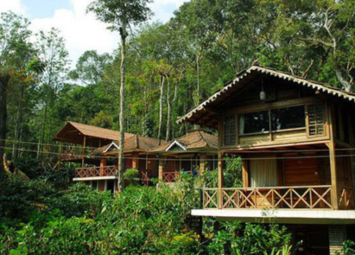 Serene Coorg and Wayanad